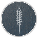 Icon: Weizen auf Schiefer